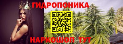 индика Ливны