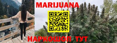 индика Ливны