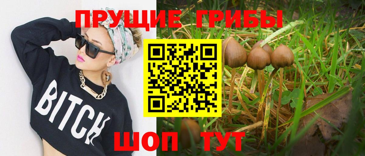 Екатеринбург  Псилоцибиновые грибы MAGIC MUSHROOMS  Галлюциногенные грибы MAGIC MUSHROOMS  Вход с VPN 